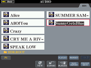 AUDIO file display screen